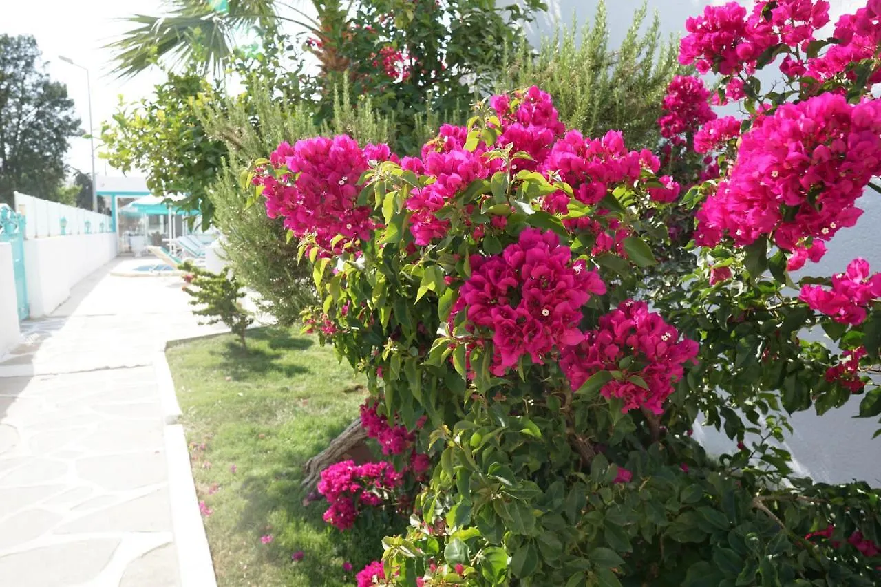 Casa Aria Hotel Gumbet